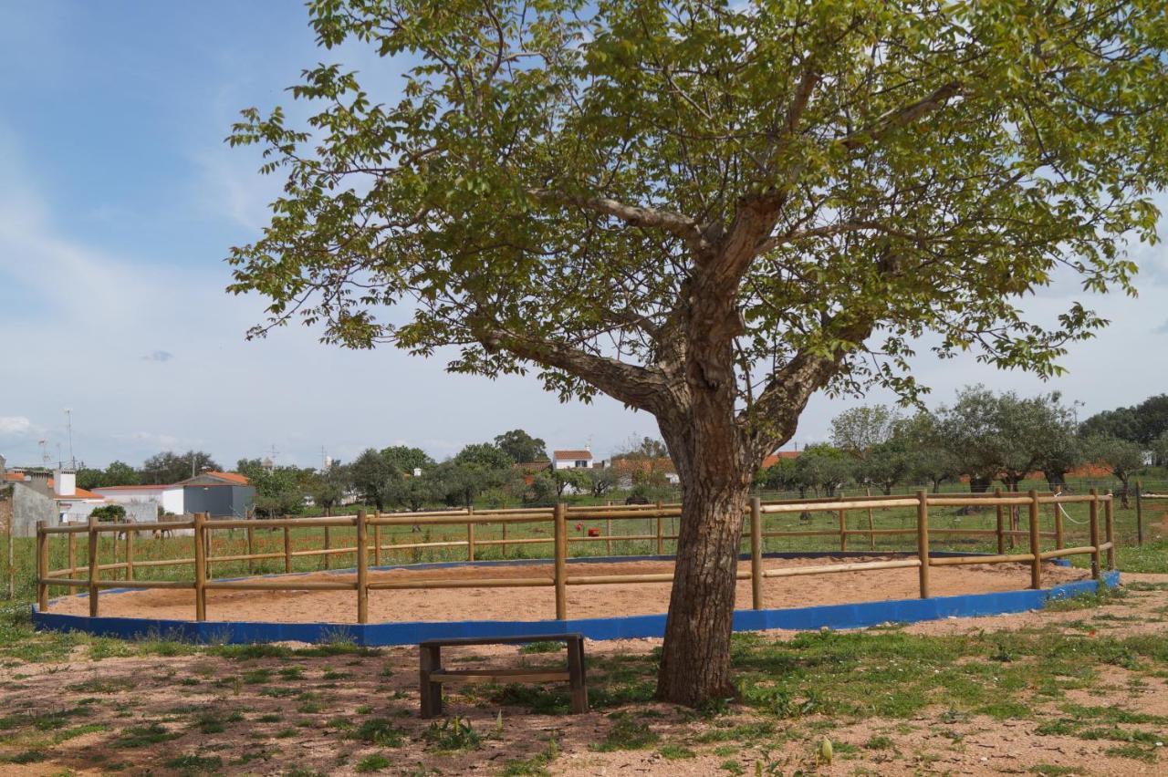 Tapada Do Chafariz Bed & Breakfast Estremoz Ngoại thất bức ảnh